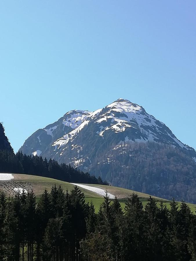 Appartement Leh Annaberg im Lammertal Dış mekan fotoğraf