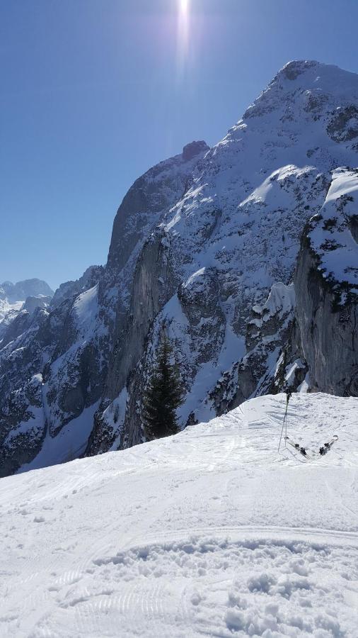Appartement Leh Annaberg im Lammertal Dış mekan fotoğraf