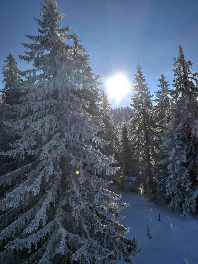 Appartement Leh Annaberg im Lammertal Dış mekan fotoğraf