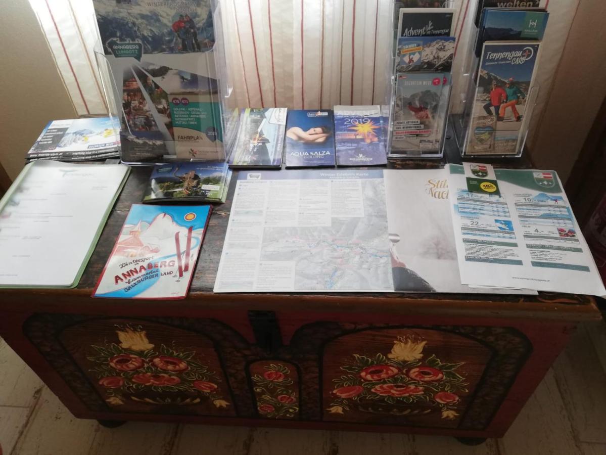 Appartement Leh Annaberg im Lammertal Dış mekan fotoğraf